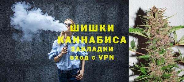 шишки Вяземский