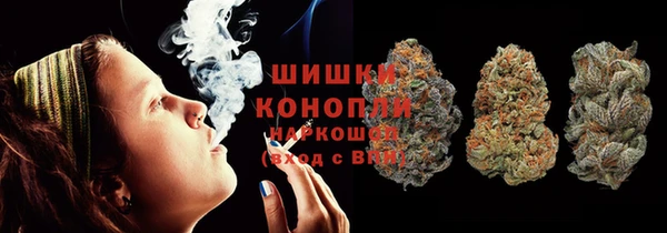 шишки Вяземский