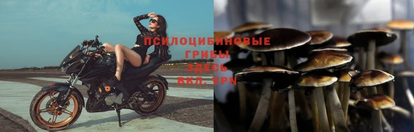 шишки Вяземский