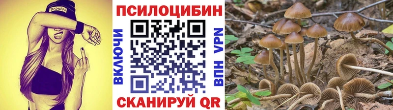 Галлюциногенные грибы ЛСД  Купить закладки  Сурск 